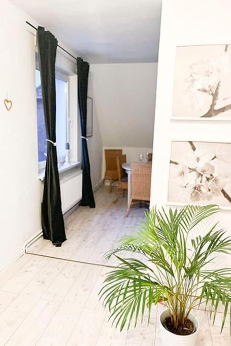 Modernes Apartment Mit Balkon Free Parking Netflix ツェレ エクステリア 写真
