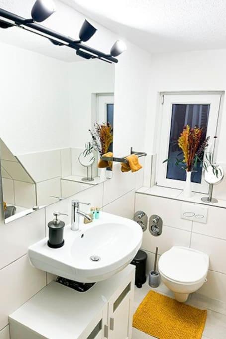 Modernes Apartment Mit Balkon Free Parking Netflix ツェレ エクステリア 写真